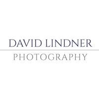 The Lindner Studio logo, The Lindner Studio contact details