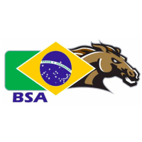 BSA - Brazilian Students Association at WMU logo, BSA - Brazilian Students Association at WMU contact details