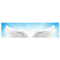 Angel Principle Consulting logo, Angel Principle Consulting contact details