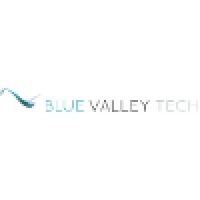 Blue Valley Technologies logo, Blue Valley Technologies contact details