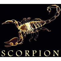 Scorpion Marketing Media logo, Scorpion Marketing Media contact details