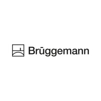 BruggemannChemical U.S., Inc. logo, BruggemannChemical U.S., Inc. contact details