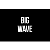 Big Wave logo, Big Wave contact details