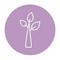 Purple Tree Coaching & Consulting logo, Purple Tree Coaching & Consulting contact details