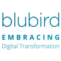 Blubird logo, Blubird contact details