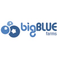 Big Blue Farms logo, Big Blue Farms contact details