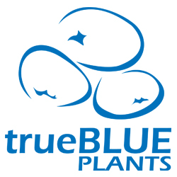 trueBLUE Propagation logo, trueBLUE Propagation contact details