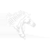 Stallion Consultants logo, Stallion Consultants contact details