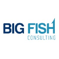 Big Fish Consulting logo, Big Fish Consulting contact details