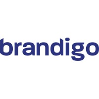 Brandigo logo, Brandigo contact details