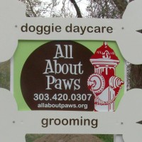 All About Paws logo, All About Paws contact details