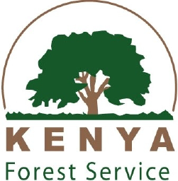 kenya forest service logo, kenya forest service contact details