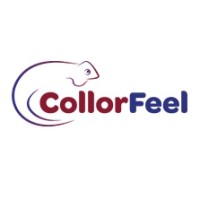 CollorFeel logo, CollorFeel contact details