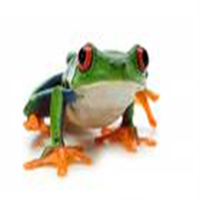 Tree Frog Service LLC logo, Tree Frog Service LLC contact details