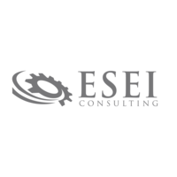 ESEI CONSULTING SAC logo, ESEI CONSULTING SAC contact details