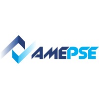 AMEPSE Consultoría logo, AMEPSE Consultoría contact details