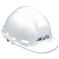 ICYS SRL logo, ICYS SRL contact details