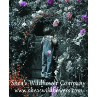 Shea's Wildflowers logo, Shea's Wildflowers contact details