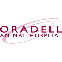 Oradell Animal Hospital Inc logo, Oradell Animal Hospital Inc contact details