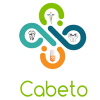 CABETO LLC logo, CABETO LLC contact details