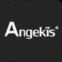 Angekis Technology logo, Angekis Technology contact details