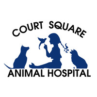 Court Square Animal Hospital logo, Court Square Animal Hospital contact details