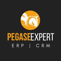 PEGASE INFORMATIQUE logo, PEGASE INFORMATIQUE contact details