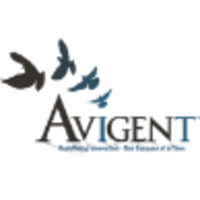 Avigent logo, Avigent contact details