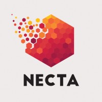 NECTA | Conexões com Propósito logo, NECTA | Conexões com Propósito contact details