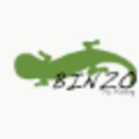 Binzo Fly Fishing logo, Binzo Fly Fishing contact details