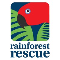 Rainforest Rescue logo, Rainforest Rescue contact details