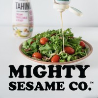 Mighty Sesame logo, Mighty Sesame contact details