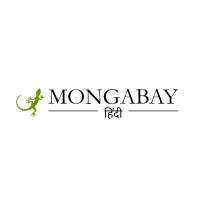 Mongabay Hindi logo, Mongabay Hindi contact details