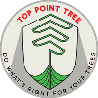 Top Point Tree logo, Top Point Tree contact details