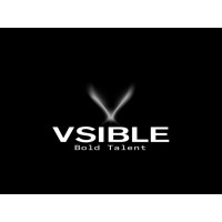 VSIBLE logo, VSIBLE contact details