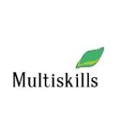 Multiskills LLС logo, Multiskills LLС contact details