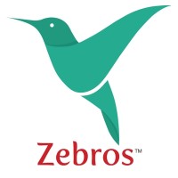 Zebros Electronics India Private Limited logo, Zebros Electronics India Private Limited contact details