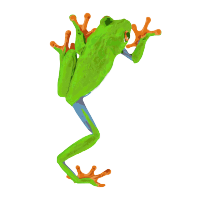 Frog Climber logo, Frog Climber contact details