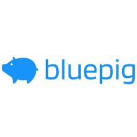 Bluepig logo, Bluepig contact details