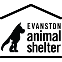 Evanston Animal Shelter Association logo, Evanston Animal Shelter Association contact details