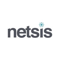 Netsis Technology (S) Pte Ltd logo, Netsis Technology (S) Pte Ltd contact details