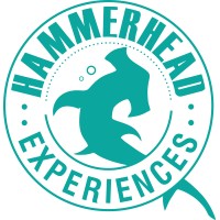 HAMMER HEAD EXPERIENCES logo, HAMMER HEAD EXPERIENCES contact details