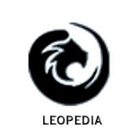 Leopedia Web Solutions logo, Leopedia Web Solutions contact details