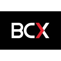 BCX NIGERIA logo, BCX NIGERIA contact details