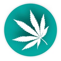 DaMaWish大麻味试 logo, DaMaWish大麻味试 contact details