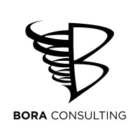 Bora Consulting LLC logo, Bora Consulting LLC contact details