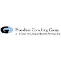 Providium Consulting Group logo, Providium Consulting Group contact details