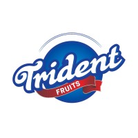 Trident Agrocom Exports Private Limited logo, Trident Agrocom Exports Private Limited contact details