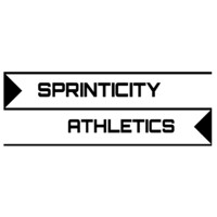 Sprinticity LLC logo, Sprinticity LLC contact details