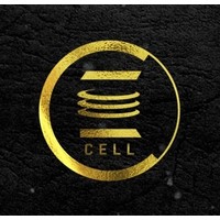 E-Cell SATI, Vidisha logo, E-Cell SATI, Vidisha contact details